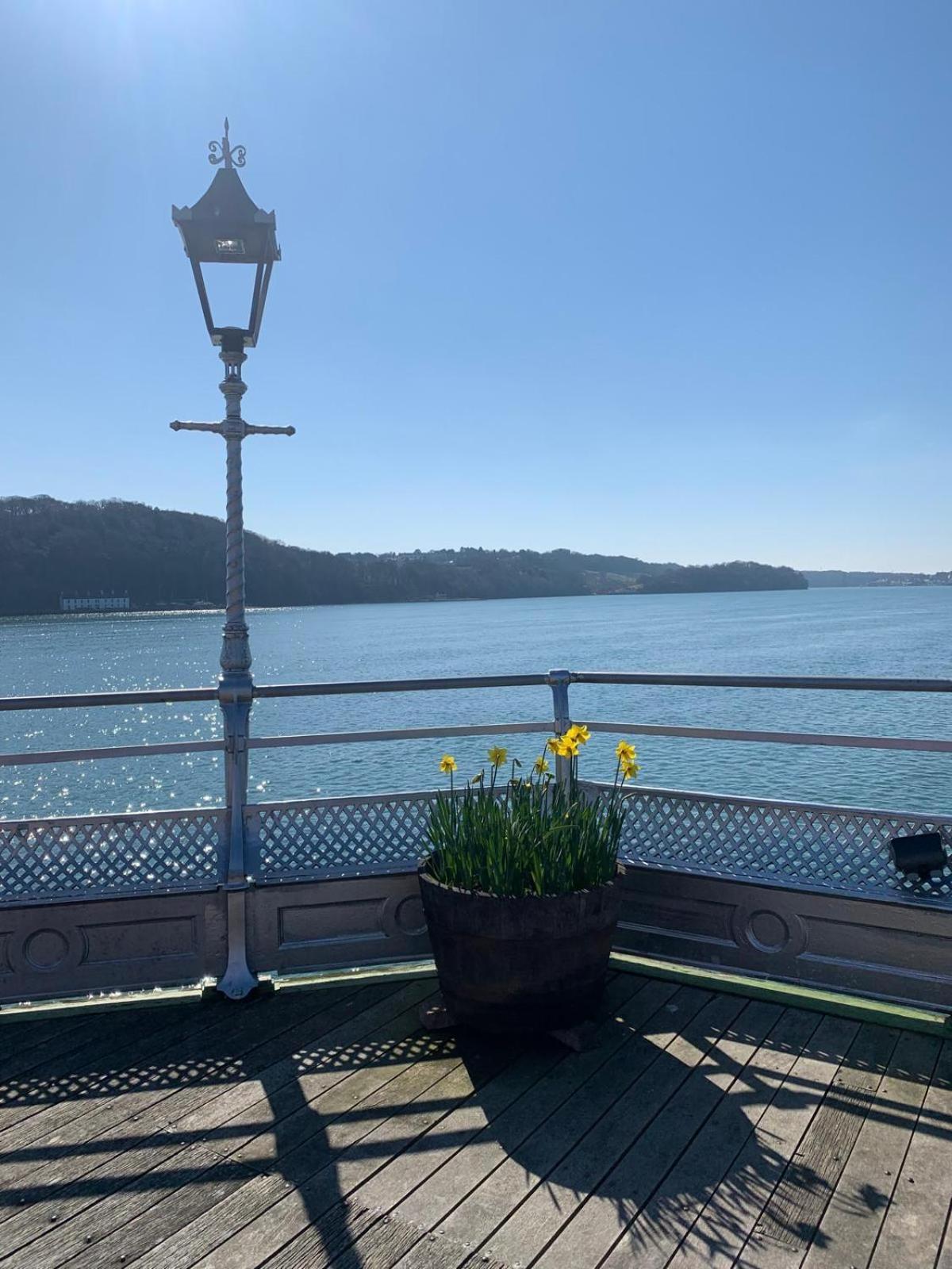 Room Only Guest Accommodation, Guest House Self Catering Bangor  Extérieur photo